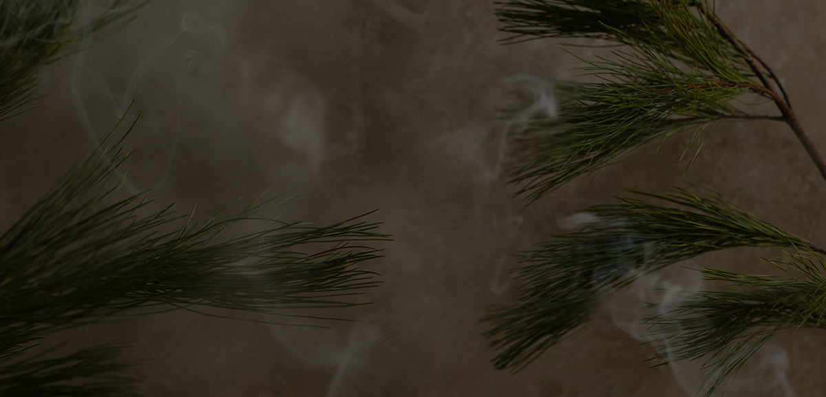 Smoky Pine