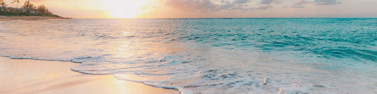 Sea Salt + Surf Fragrance Collection