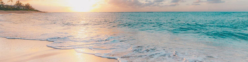 Sea Salt + Surf Fragrance Collection